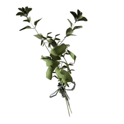 Файл:Коровяк.png